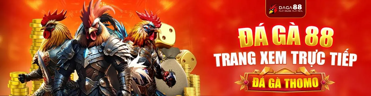 Trải nghiệm live casino với dealer chuyên nghiệp tại 678bet nhà cái
